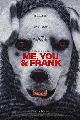 惊悚恐怖《乖狗狗》电影解说文案-AI电影文案解说网