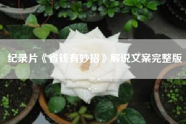 纪录片《省钱有妙招》解说文案完整版-AI电影文案解说网