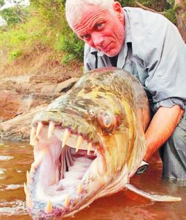 惊悚电影《巨型食人鱼》影评 观后感 解说文案完整版-AI电影文案解说网