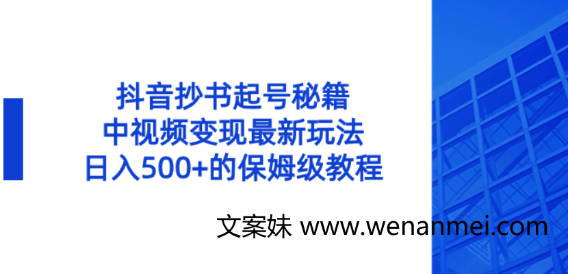 【视频课程】抖音抄书起号绝招，中视频变现项目，日入500+的保姆级教程-AI电影文案解说网