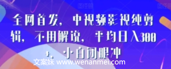 【视频课程】全网首发，中视频影视纯剪辑，不用解说，平均日入300+，小白闭眼冲-AI电影文案解说网