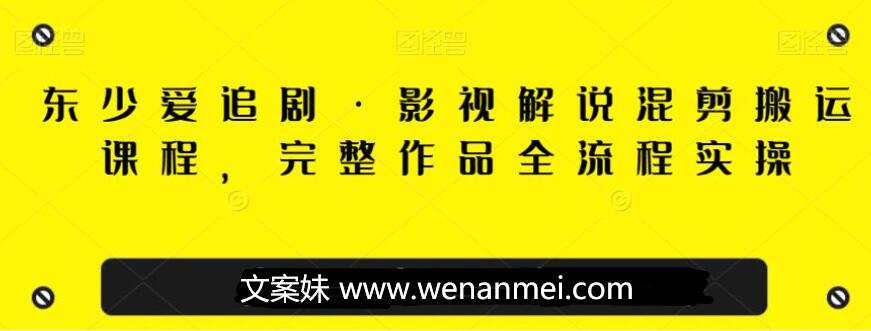 【视频课程】影视解说混剪搬运课程,完整作品全流程实操-AI电影文案解说网