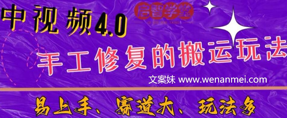 【视频课程】中视频4.0赛道：新手福音，一小时制作，三天过计划，7天看效果-AI电影文案解说网