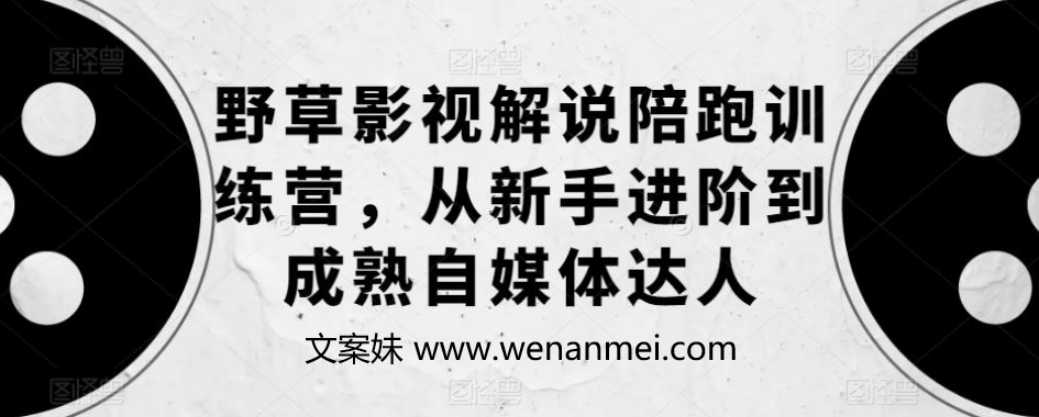 【视频课程】影视解说陪跑训练营，从新手进阶到成熟自媒体达人-AI电影文案解说网