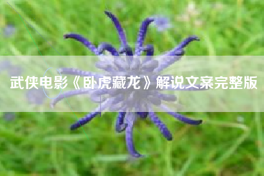 武侠电影《卧虎藏龙》解说文案完整版-AI电影文案解说网