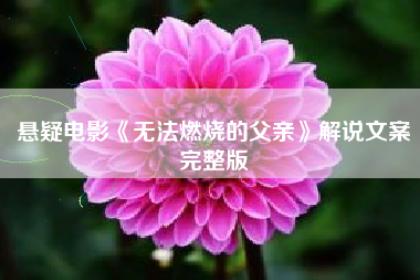 悬疑电影《无法燃烧的父亲》解说文案完整版-AI电影文案解说网