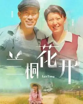 剧情电视剧《兰桐花开》42集电视剧解说文案-AI电影文案解说网