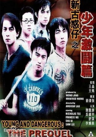 动作《新古惑仔之少年激斗篇》电影解说文案-AI电影文案解说网