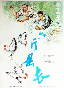 剧情《六斤县长》电影解说文案-AI电影文案解说网