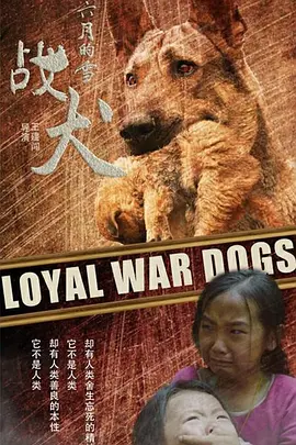 剧情《六月的雪之战犬》电影解说文案-AI电影文案解说网
