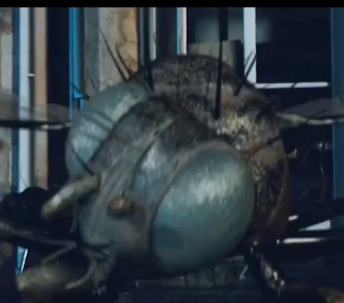 科幻恐怖《吸血鬼苍蝇》电影解说文案-AI电影文案解说网