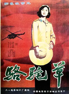 爱情电影《骆驼草》解说文案-AI电影文案解说网