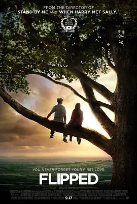 爱情片《怦然心动》电影解说文案-AI电影文案解说网