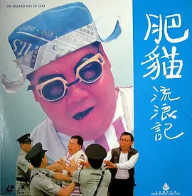 剧情电影《肥猫流浪记》解说文案-AI电影文案解说网