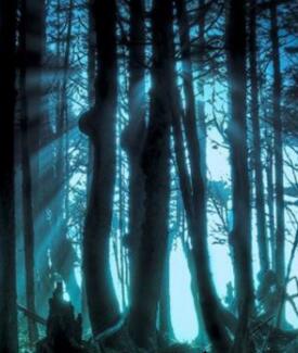 悬疑惊悚《异形迷情》电影解说文案-AI电影文案解说网