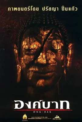 动作犯罪《拳霸》电影解说文案-AI电影文案解说网