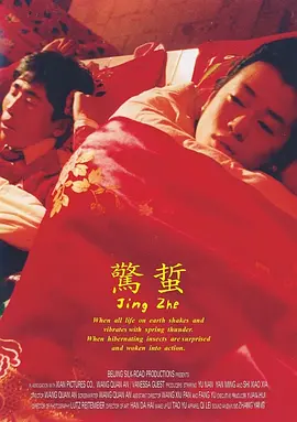 剧情电影《惊蛰》解说文案（2004年）-AI电影文案解说网