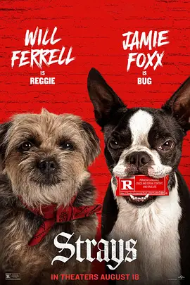 动画喜剧《流浪狗》电影解说文案-AI电影文案解说网