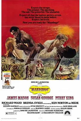 动作电影《曼丁哥》解说文案-AI电影文案解说网