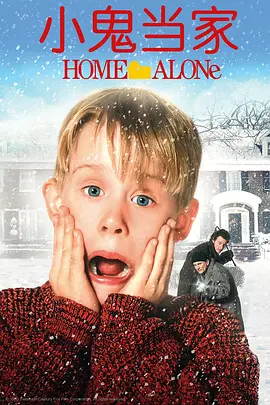 家庭喜剧电影《小鬼当家》解说文案 观后感-AI电影文案解说网