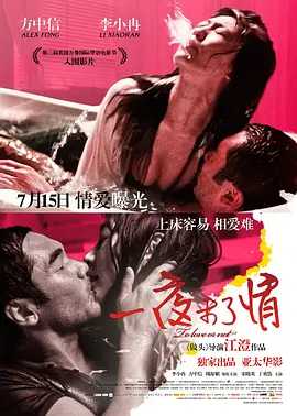 爱情电影《一夜未了情》解说文案-AI电影文案解说网