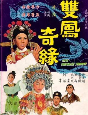 剧情电影《双凤奇缘》解说文案-AI电影文案解说网