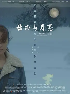 剧情电影《猪肉与月亮》解说文案 观后感-AI电影文案解说网