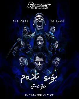 动作电影《少狼：大电影》解说文案-AI电影文案解说网