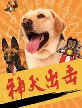 喜剧电影《神犬出击》解说文案-AI电影文案解说网
