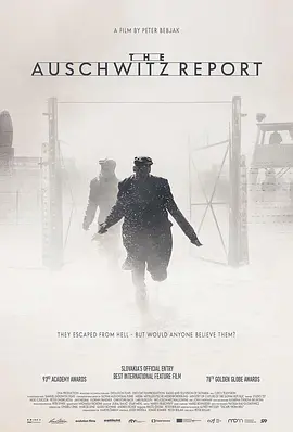 战争电影《奥斯维辛报告》解说文案 解说素材-AI电影文案解说网