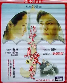 爱情《渴望一份真爱的感觉》电影解说文案-AI电影文案解说网