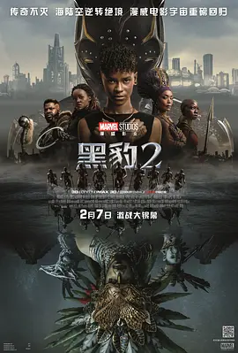 动作《黑豹2》电影解说文案-AI电影文案解说网