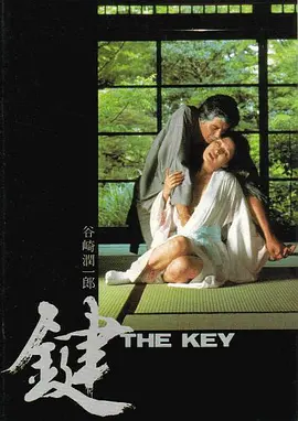 剧情《键》电影解说文案-AI电影文案解说网