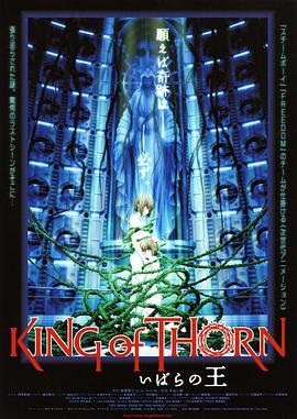 动画电影《古城荆棘王》解说文案 解说稿-AI电影文案解说网