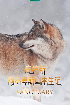 纪录片《庇护所：阿尔卑斯山求生记》电影解说文案-AI电影文案解说网