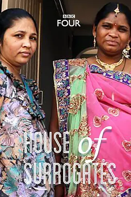 纪录片《代孕者》解说文案-AI电影文案解说网