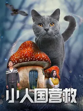 奇幻《小人国营救》电影解说文案(小人国营救影评)-AI电影文案解说网