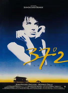 爱情电影《巴黎野玫瑰》解说文案/解说素材-AI电影文案解说网