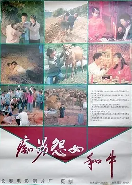 爱情《痴男怨女和牛》电影解说文案（痴男怨女和牛主题曲）-AI电影文案解说网