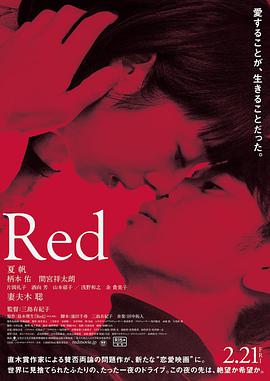 爱情《红 Red》电影解说文案-AI电影文案解说网