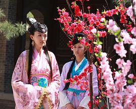 爱情《穿越时空之来客》电影解说文案-AI电影文案解说网