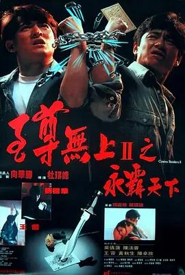 动作犯罪《至尊无上2之永霸天下》电影解说文案(电影至尊无上2永霸天下剧情介绍)-AI电影文案解说网