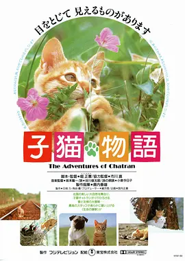 冒险《子猫物语》电影解说文案(子猫物语 豆瓣)-AI电影文案解说网