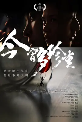 惊悚电影《今宵多珍重》解说文案-AI电影文案解说网