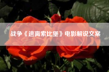 战争《逃离索比堡》电影解说文案-AI电影文案解说网