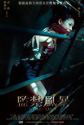 犯罪《监禁风暴》电影解说文案(监禁风暴讲的是什么啊)-AI电影文案解说网