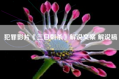 犯罪影片《三日刺杀》解说文案 解说稿-AI电影文案解说网