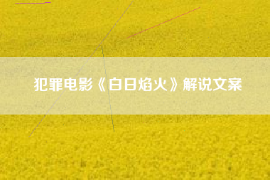 犯罪电影《白日焰火》解说文案-AI电影文案解说网