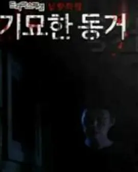 悬疑《奇妙的同居》电影解说文案（关于同居的文案）-AI电影文案解说网