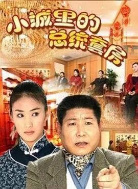 剧情《小城里的总统套房》电影解说文案-AI电影文案解说网